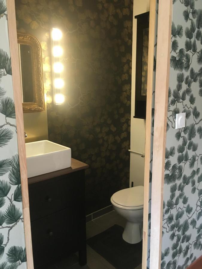 Charmant Appartement Sur Cour, Le Berlingott Bagnères-de-Bigorre Kültér fotó